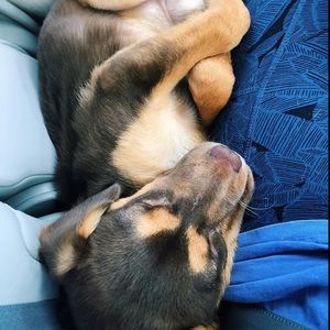 Meet your Posher, Claire